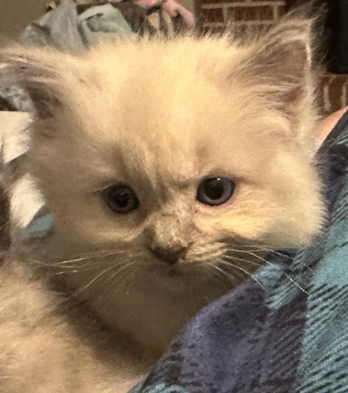 Winnie photo 19