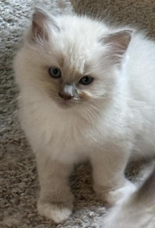 Winnie photo 10