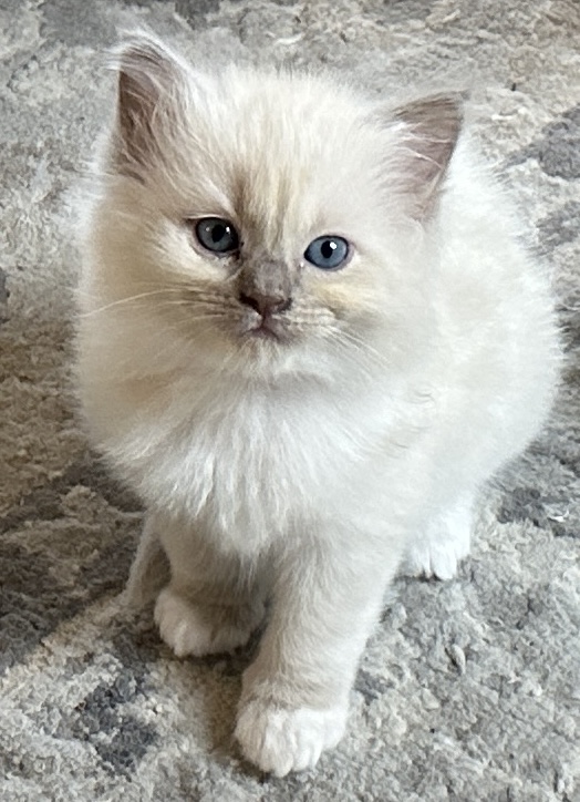 Winnie photo 11