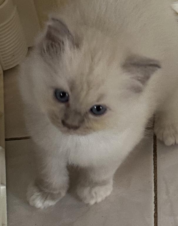 Winnie photo 22