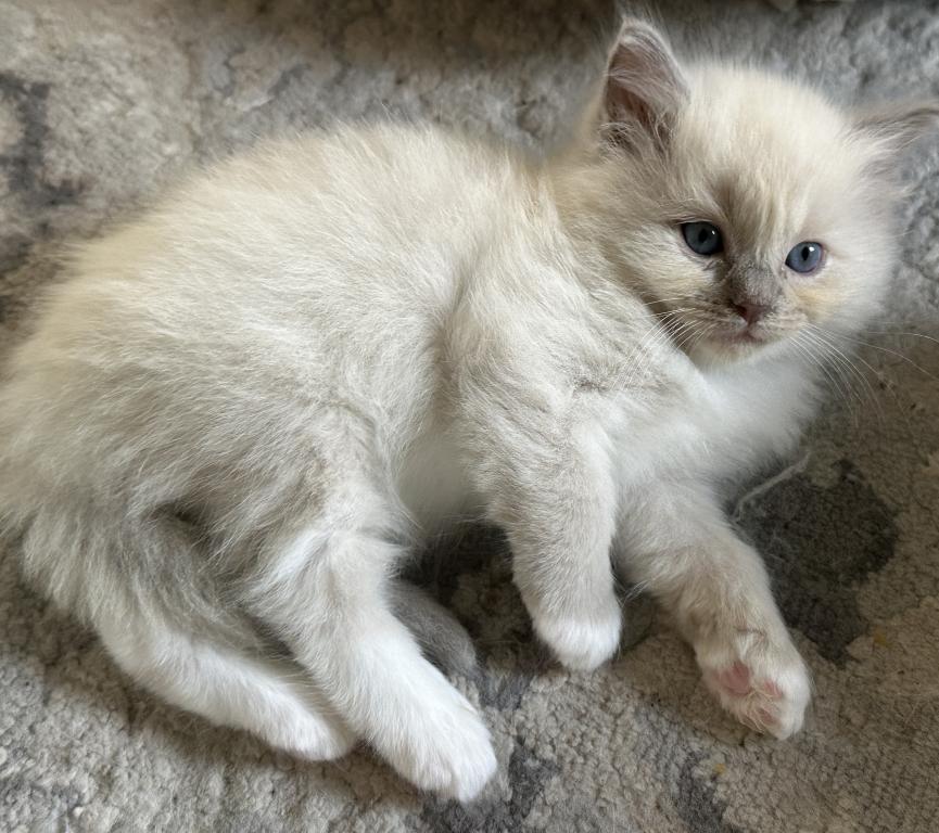 Winnie photo 18