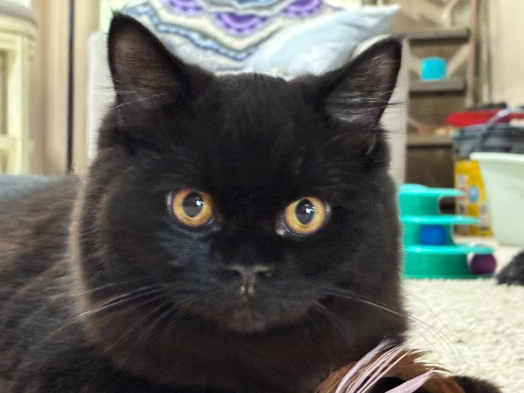 Jasper photo 5