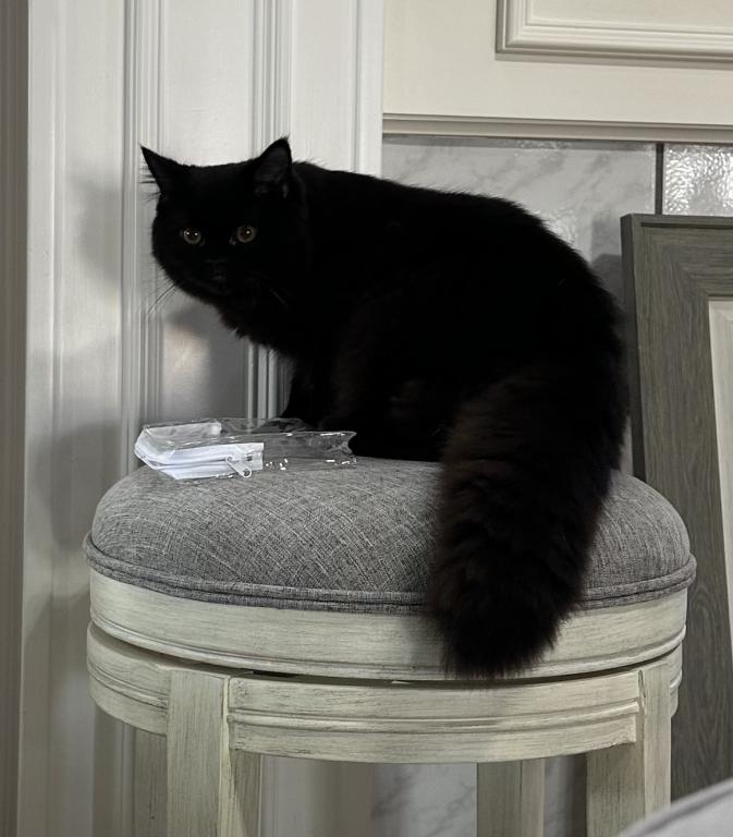 Jasper photo 3