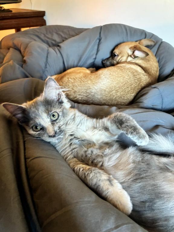 Luna photo 8
