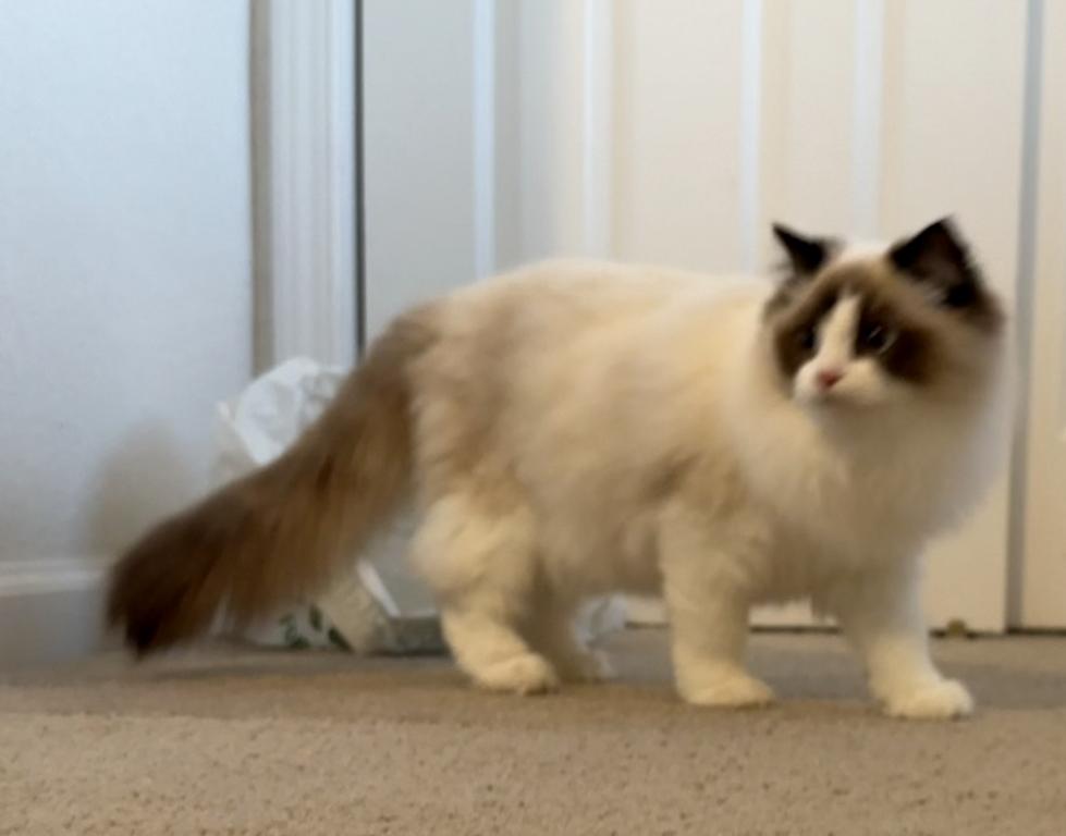 Mia photo 1