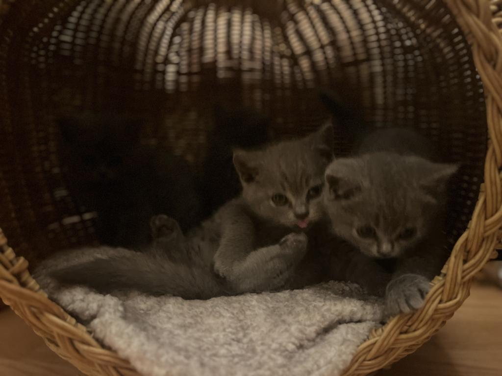 Males And Females photo 6