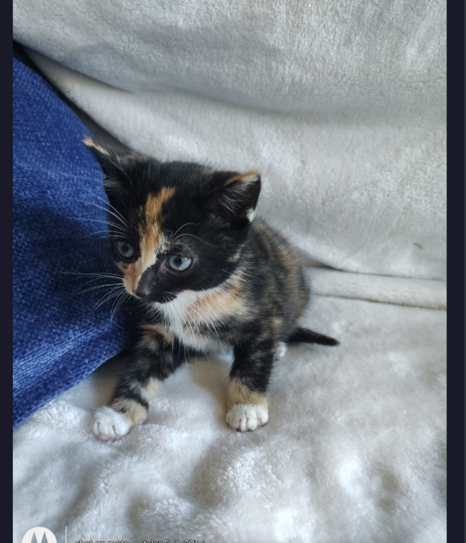Mimi photo 3