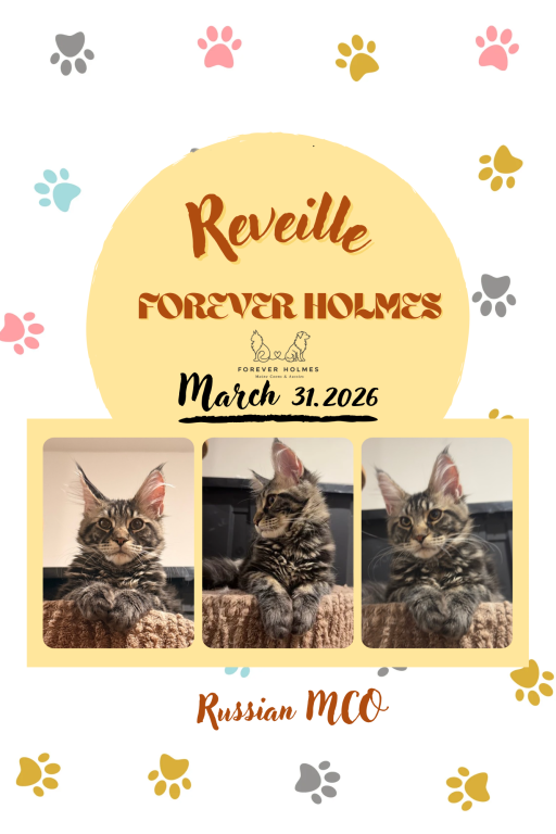 Reveille photo 2