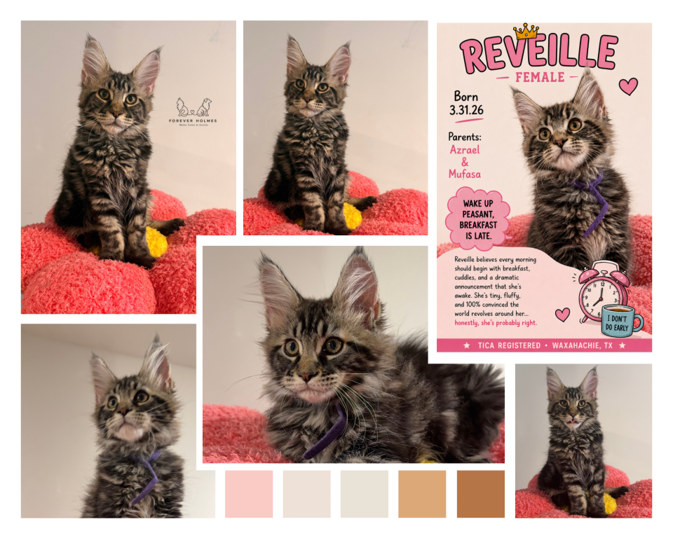 Reveille photo 1