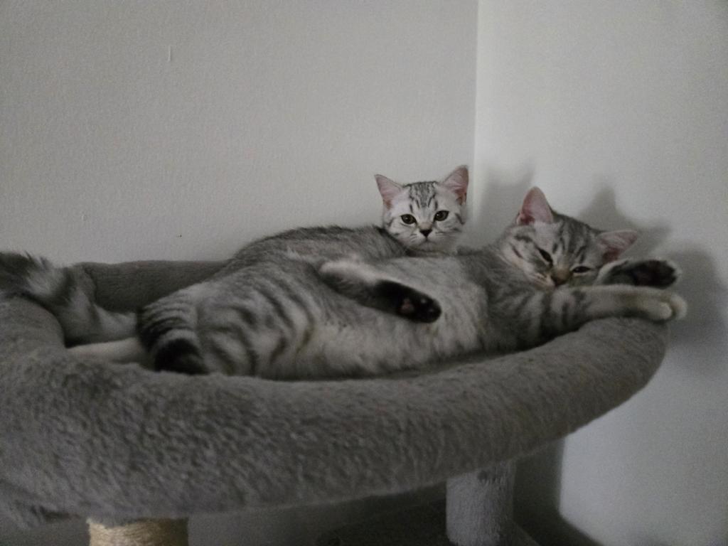 Luna photo 3