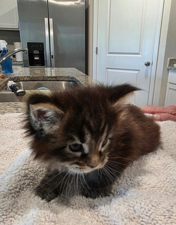 Sterling Baby photo 4