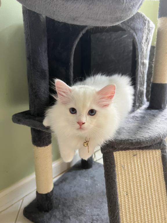 Zeus photo 1