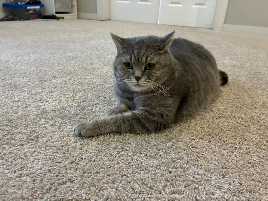 Max photo 2