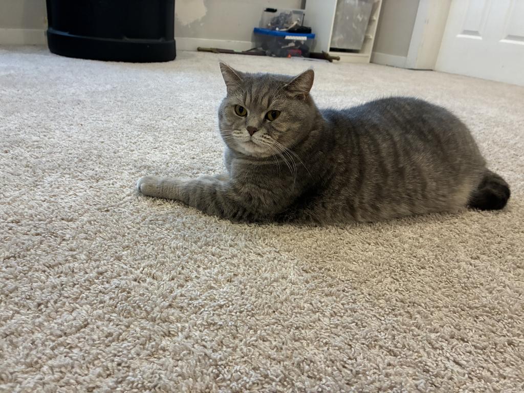 Max photo 1