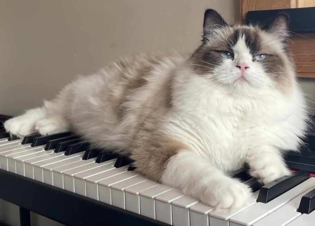 Fluffies Boy photo 2