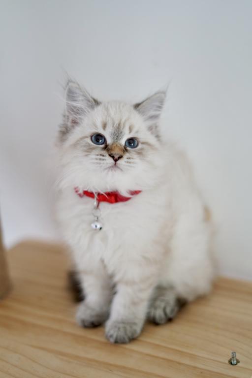 Gia photo 4