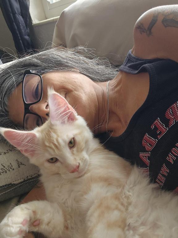 Sadie's Kitten photo 4