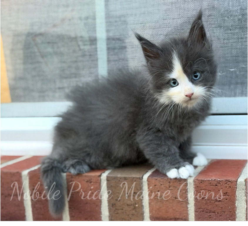 Blue Eyed Skye photo 1