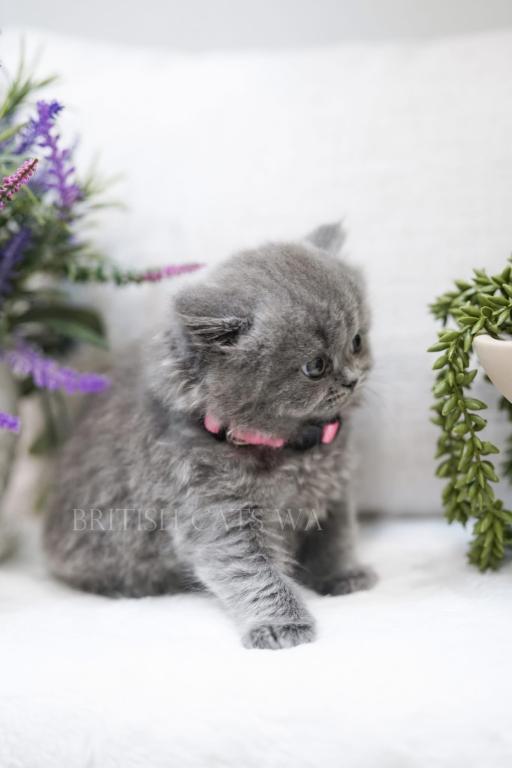 Holly photo 10