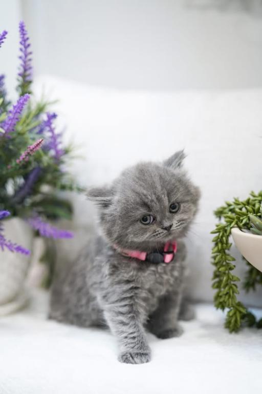 Holly photo 7