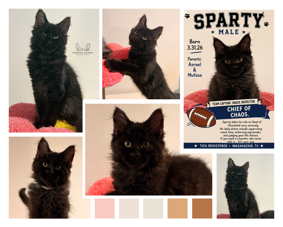 Sparty photo 1