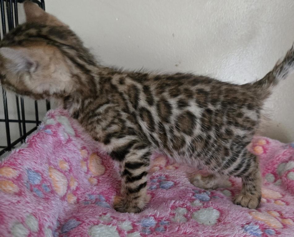 Wilma photo 3