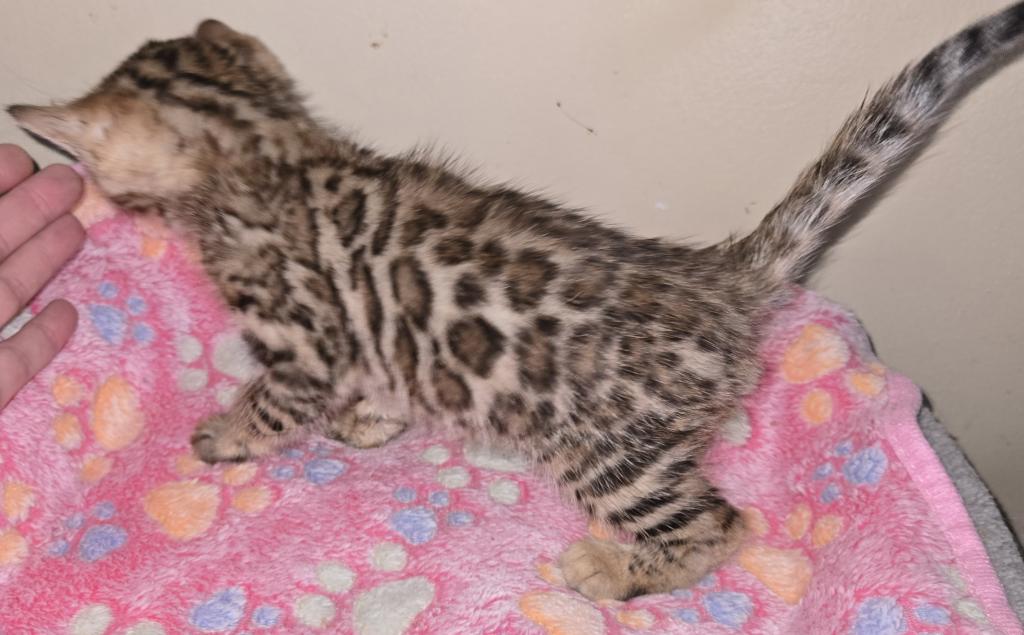 Wilma photo 2