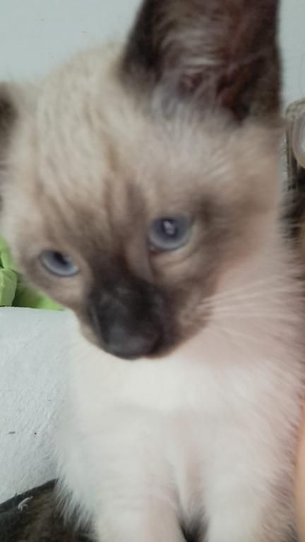 August Babies photo 6