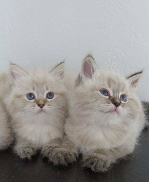 Nimbus photo 7