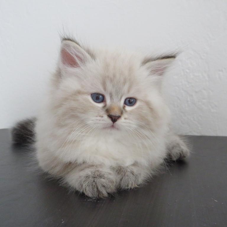 Nimbus photo 2