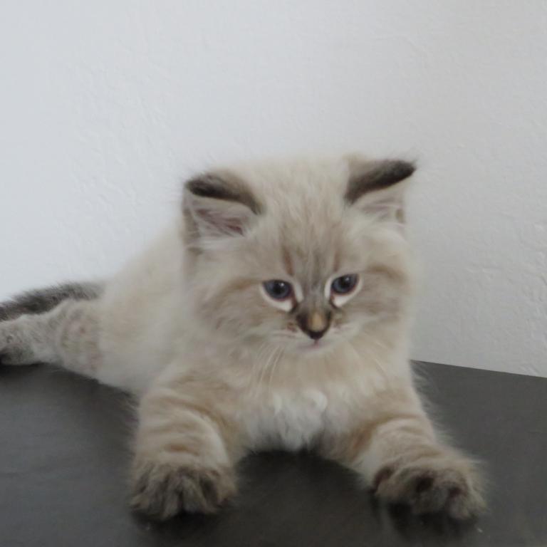 Nimbus photo 3