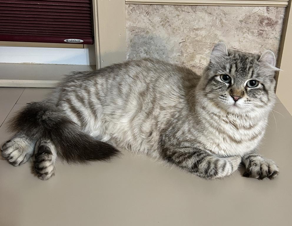 Miss Gigi photo 2