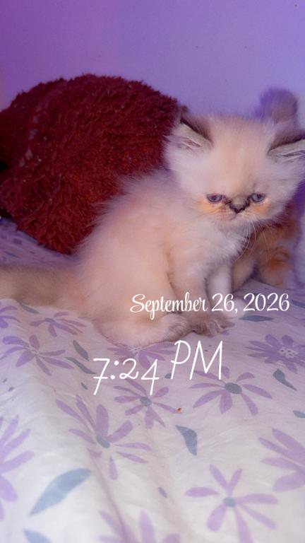 My Babies Are Growing photo 32