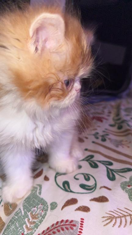 My Babies Are Growing photo 8