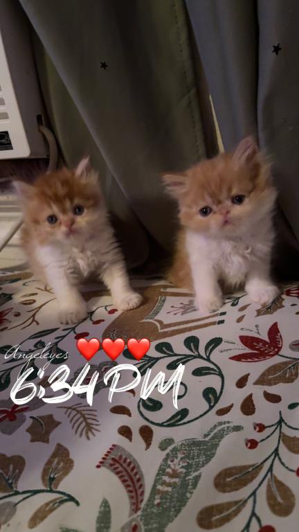 My Babies Are Growing photo 125