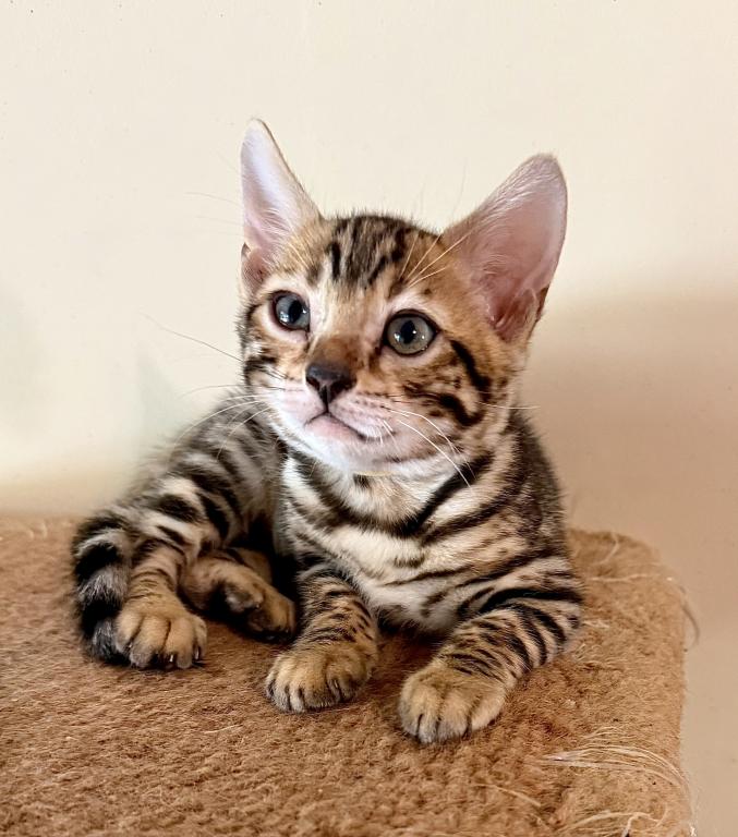 Zoe Litter photo 6