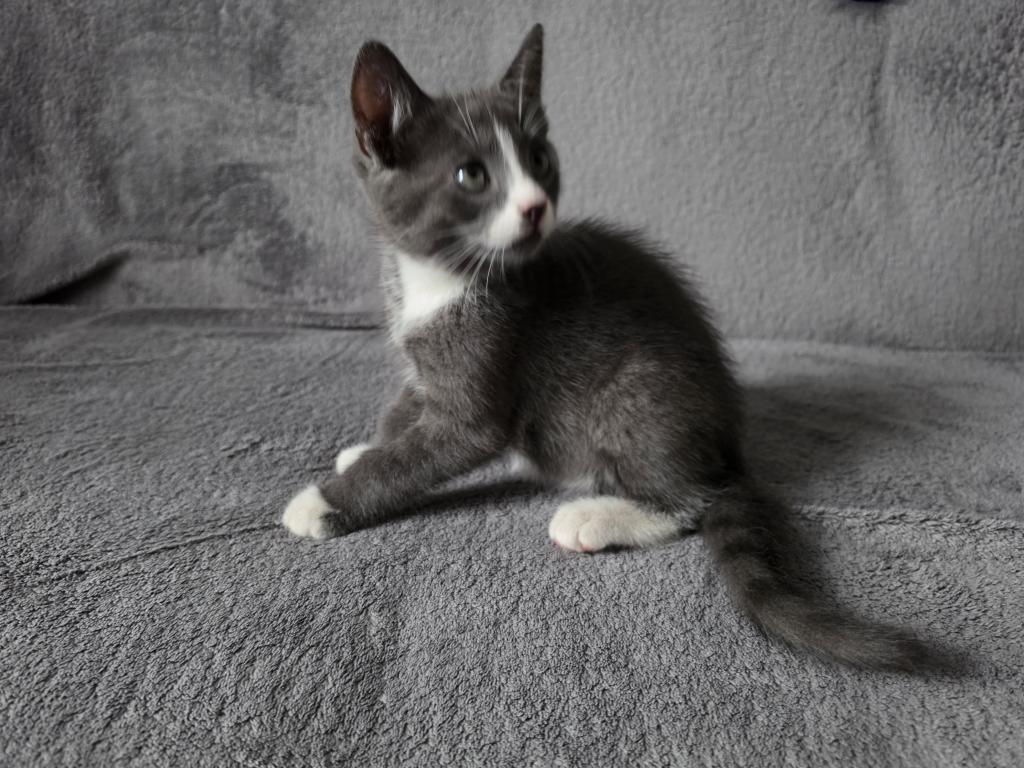 Handsome photo 6