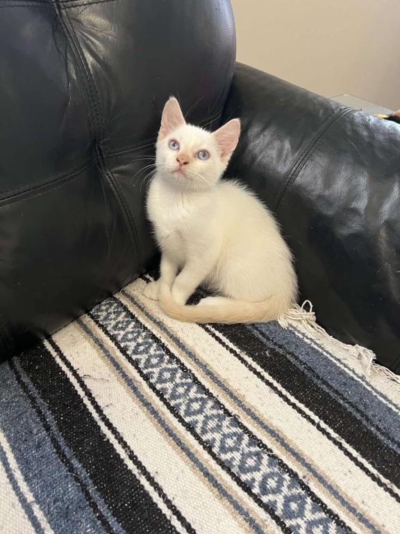 Surprise photo 26
