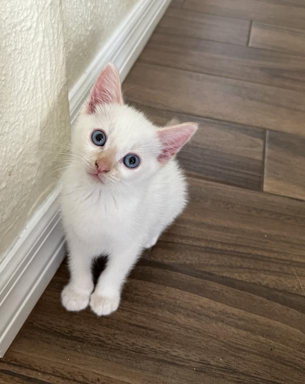 Surprise photo 27