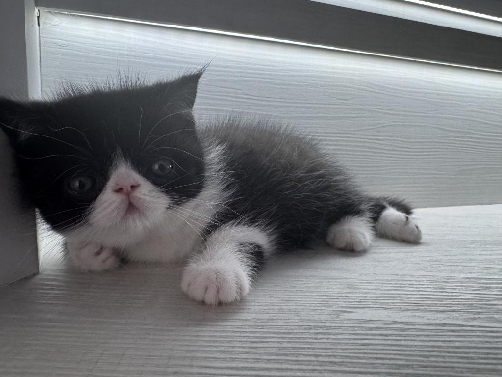 Cuties photo 4