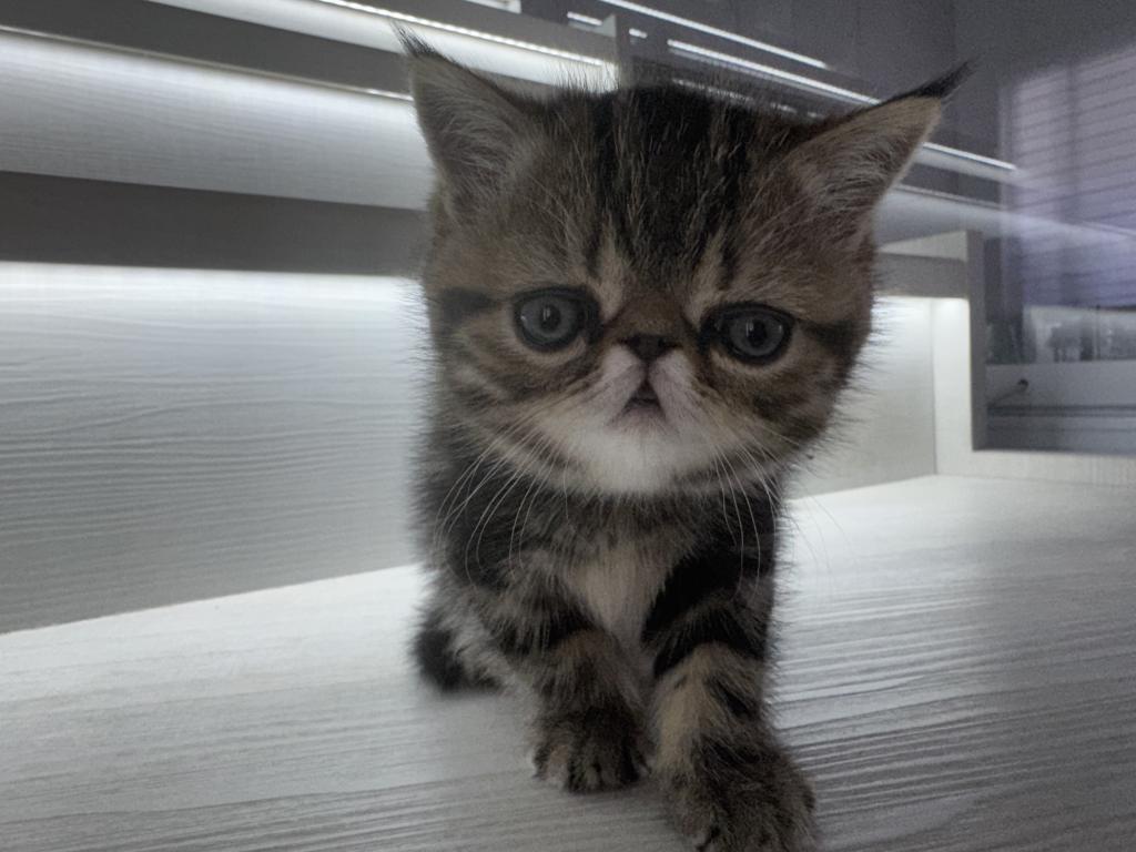 Cuties photo 11