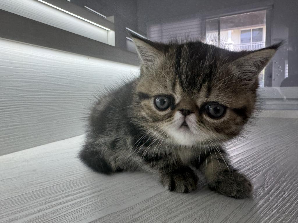 Cuties photo 10