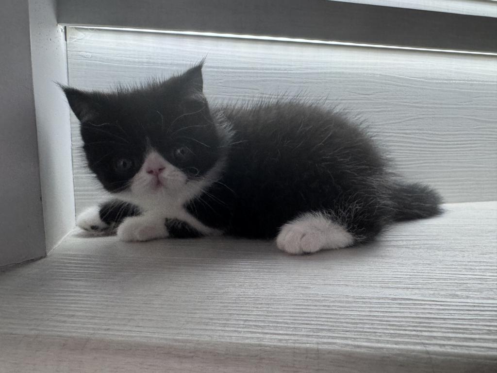 Cuties photo 3