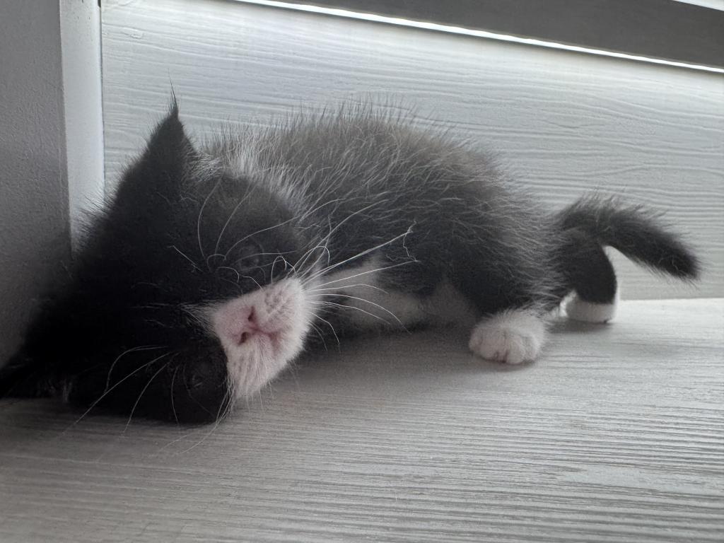 Cuties photo 5
