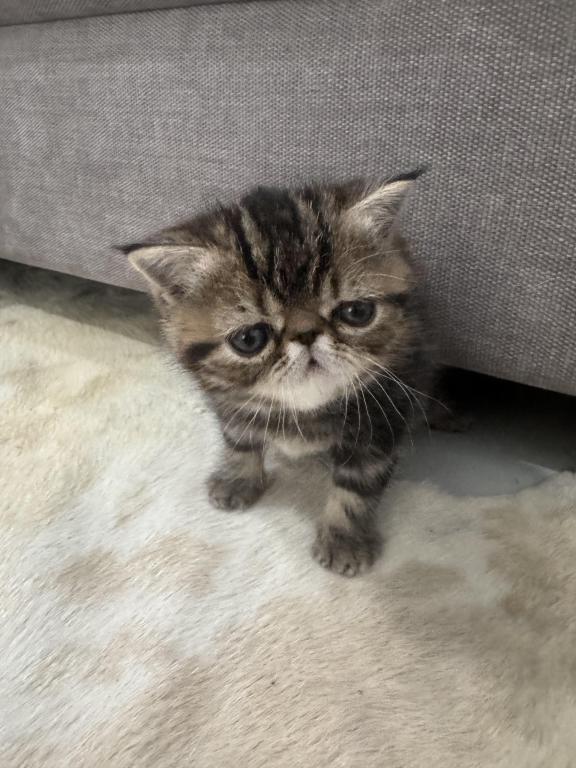 Cuties photo 1