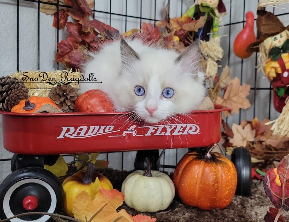 LillyFinley photo 2