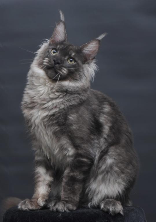 Casper photo 7
