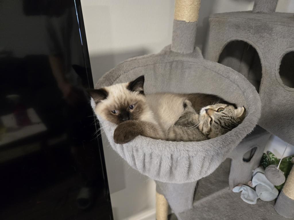 Nikolai photo 12