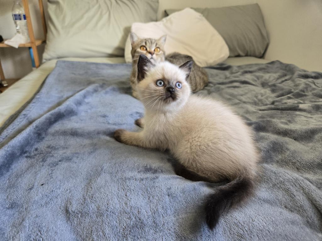 Nikolai photo 4