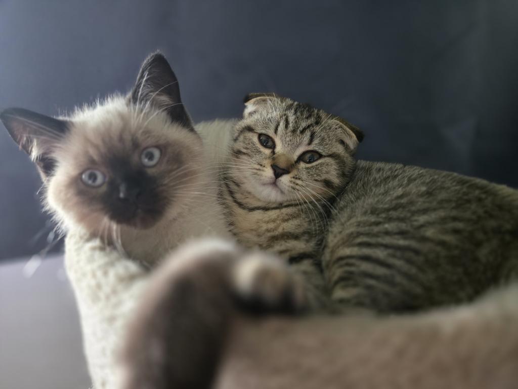 Nikolai photo 13